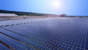 中美硅晶与XPJ(中国大陆)光电携手战略合作